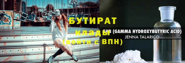 шишки Абаза