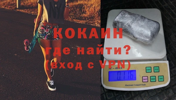 шишки Абаза