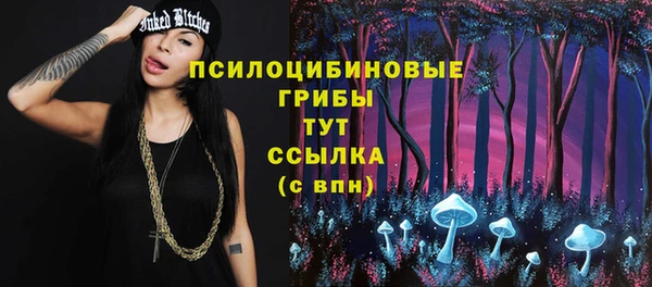 шишки Абаза