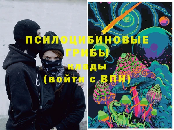 шишки Абаза