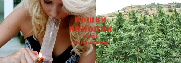 шишки Абаза