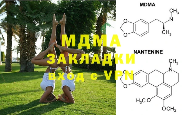 шишки Абаза